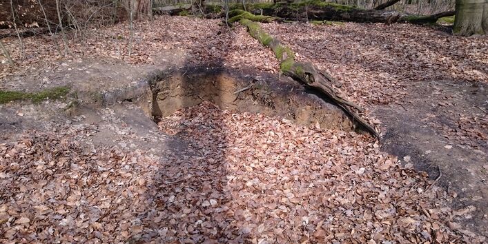 Grube im Wohldorfer Wald