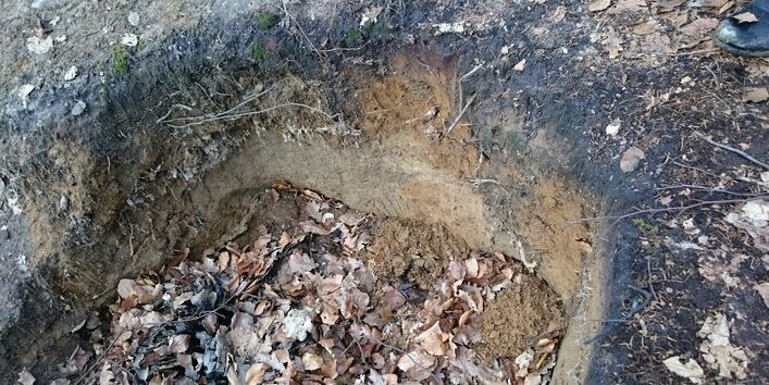 Boden der Jungmoränenlandschaft