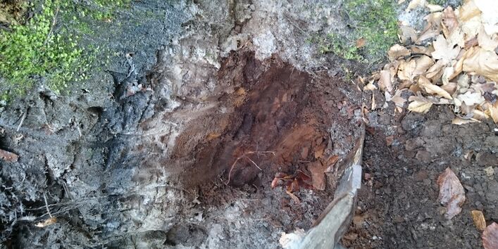 Durch Gruben wird der Boden erlebbar gemacht.