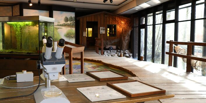 Dauerausstellung "Dümmerlandschaft"