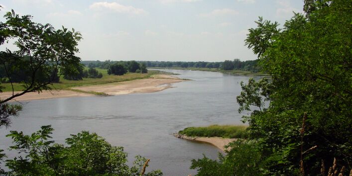 Hochufer bei Griebo (Elbe)