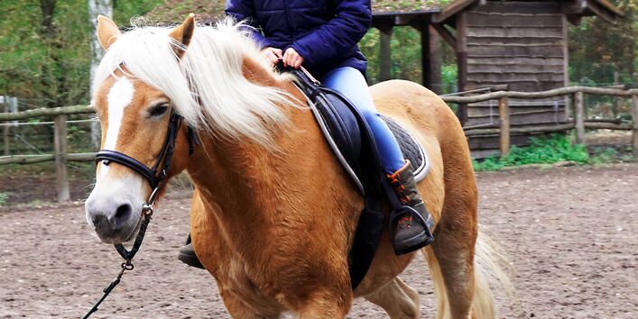 Kind reitet auf dem Pferd