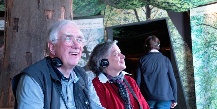 Erlebnisausstellung "die Buche"