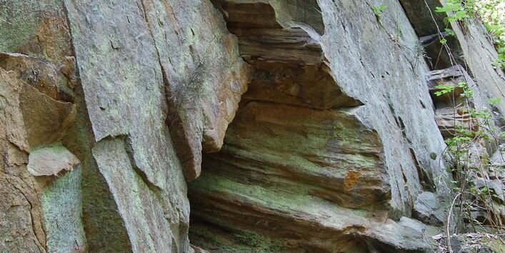 Fossiler Baumabdruck in Hochformat