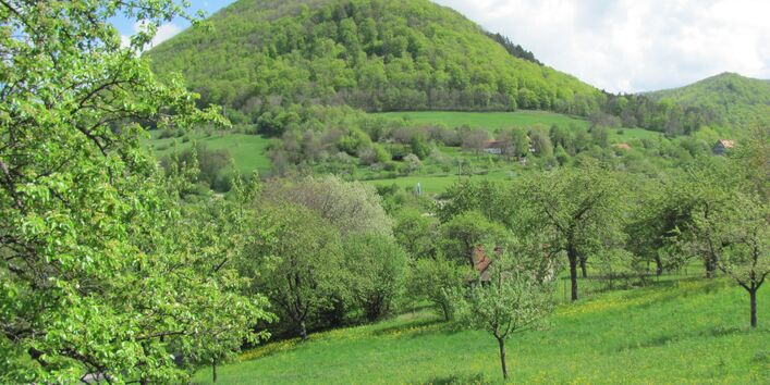 Foto einer Landschaft bei Beuren