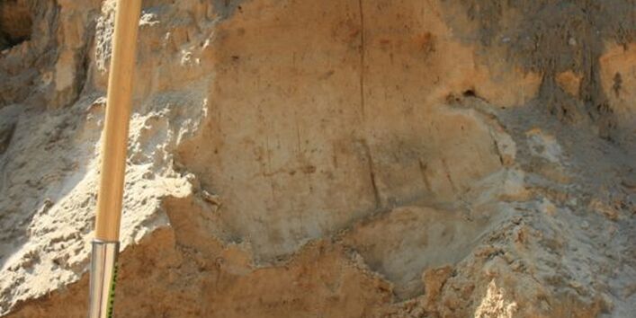 Profil Braunerde, Station 4 Klausdorfer Tongruben