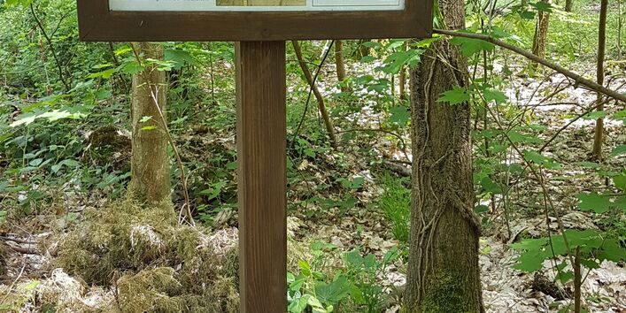 Infotafel "Parabraunerde"