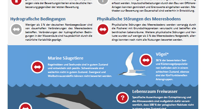 Die Bildergalerie enthält vier Bilder: Zwei Graphiken stellen die Bewertungsergebnisse der nationalen Zustandsberichte für Nord- und Ostsee für die Jahre 2016-2021 anhand des Lebens unter Wasser und einer textlichen Darstellung der menschlichen Belastungen dar. Zwei weitere Graphiken stellen die Titelseite des OSPAR QSR 2023 (ein nach oben gereckter Hals und Kopf eines Basstölpel) und des HELCOM State of the Baltic Sea 2023 Bericht (eine stilisierte Welle) dar.