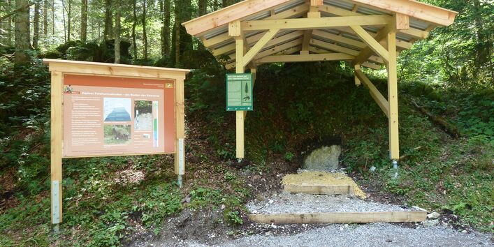 Station mit Felshumusboden (Boden des Jahres 2018)
