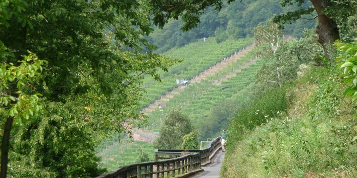 Landschaft an der Station Klingenberg