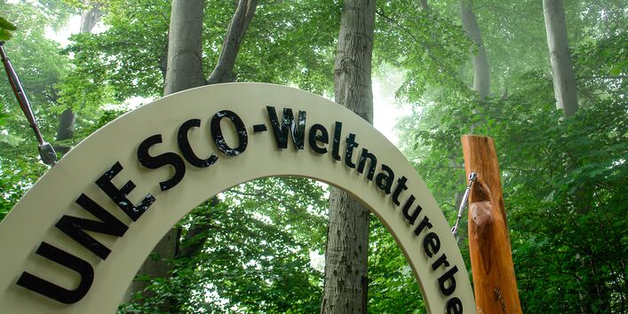 Fenster ins UNESCO-Weltnaturerbe