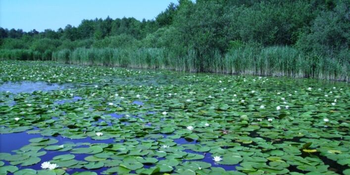 Der See "Große Heilige Meer"
