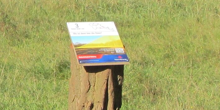 Station 3: "Wo ist denn hier die Düne?"