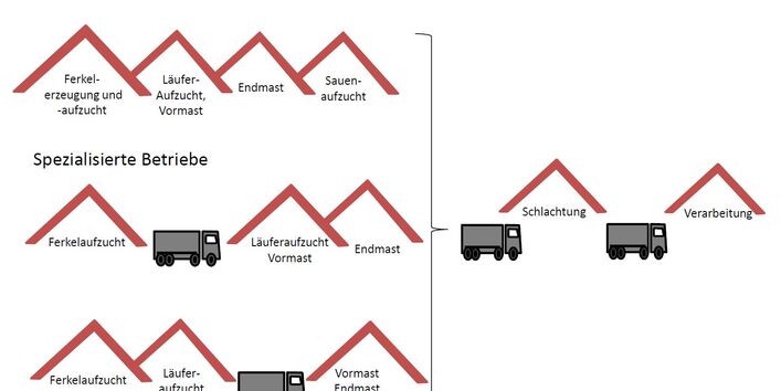 Schematische Darstellung verschiedener Herstellerketten der Schweinefleischerzeugung. Es werden zwei Formen spezialisierter Betriebe und ein Kombi-Betrieb dargestellt.