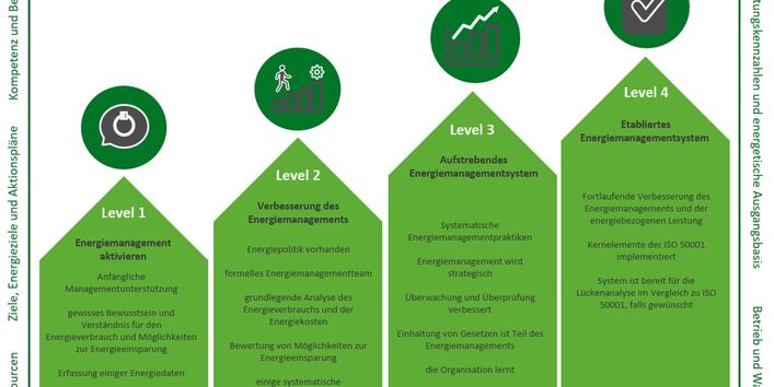 Grafische Darstellung Level ISO 50005