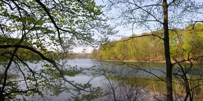 Der Nehmitzsee in Brandenburg