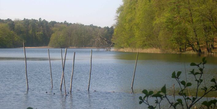 Blick auf den See Nehmitz
