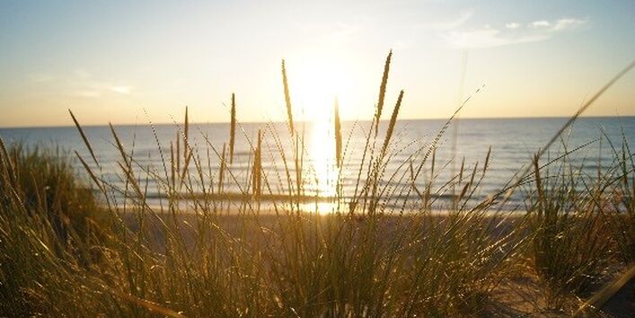 Солнце и морской берег