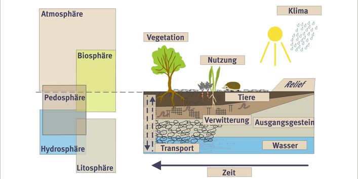 Schema Entwicklung von Böden