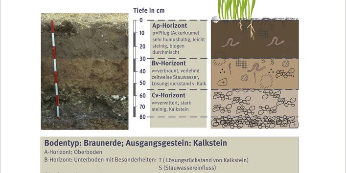 Boden und sein Aufbau