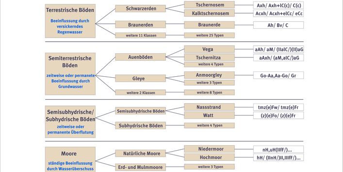 Schema Boden und seine Systematik
