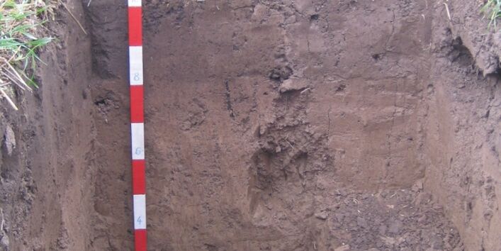 Foto einer Profilgrube bei der Bodenschätzung.