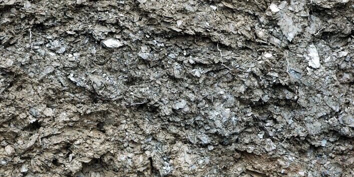 Das Bodenprofil eines Weinbergsbodens aus Tonschiefer.