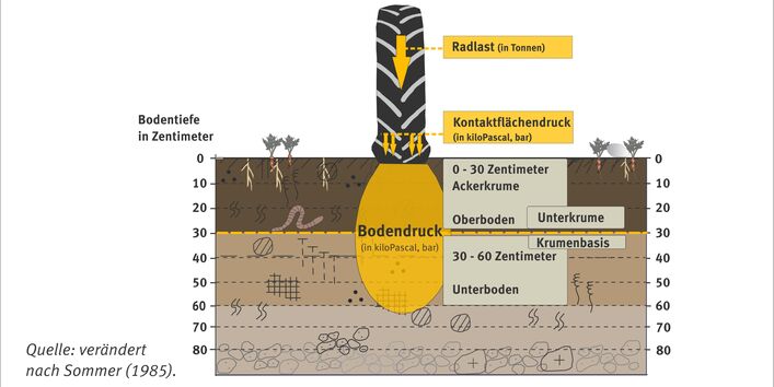 Schaubild zu den Ursachen von Bodendruck