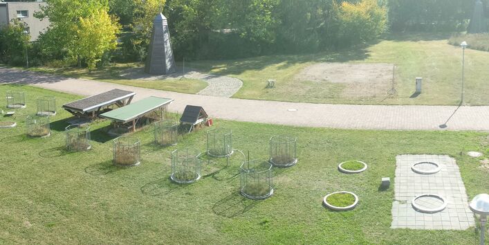 Rasenfläche mit rund umzäunten Flächen.