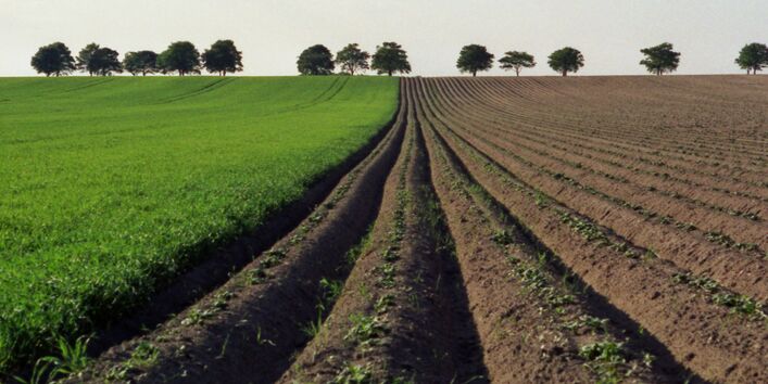 kahle Ackerfurchen bis zum Horizont