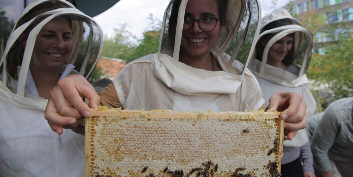 eine junge Frau in Imkerschutzkleidung hält einen Holtzahmen mit Bienenwaben, die mit Bienen besetzt sind.