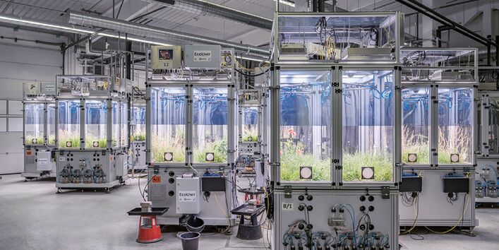 Pflanzen in Behältern in einer Halle