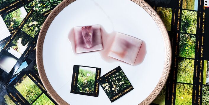 Fotos von Wildpflanzen in der Natur, einige Fotos liegen in der Mitte auf einem Teller mit Goldrand