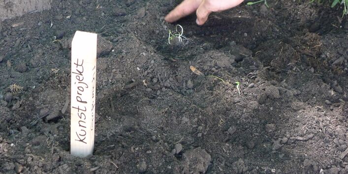 In der frisch gepflügten Erde steckt ein Holzstück mit der Aufschrift "Kunstprojekt"