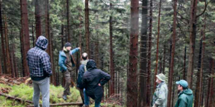 Vier Männer stehen im Wald, einer zeigt auf eine Stelle zwischen den Bäumen. 