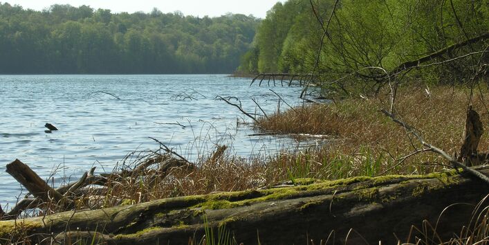 Blick über den Peetschsee