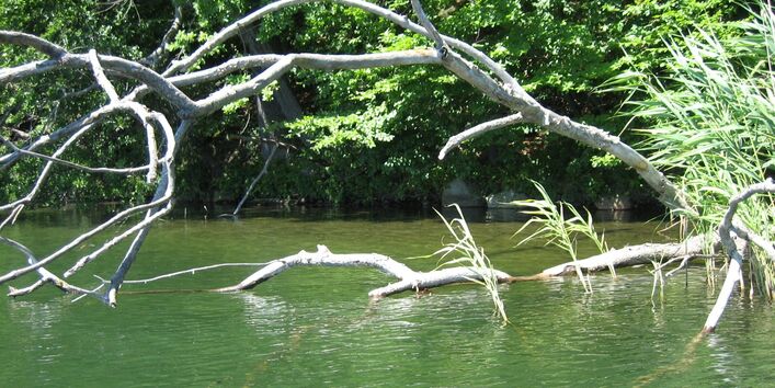 Blick über den Pinnower See