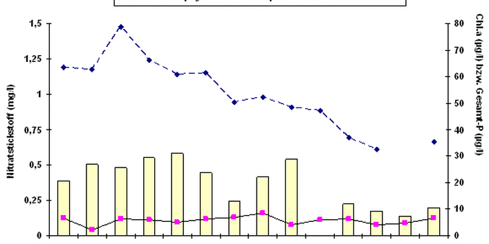 Zustand des Scharmützelsees: Chlorophyl, Phosphor, Nitratstickstoff
