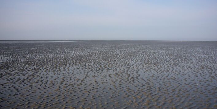 Wattenlandschaft „Hoher Weg“ bei Ebbe