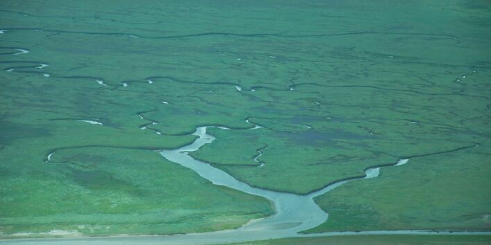Luftbild der Salzmarschen auf Mellum