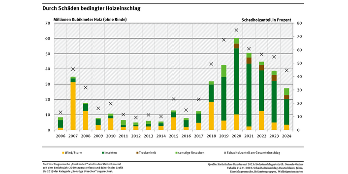 Das Diagramm zeigt den Anfall an Schadholz in Mio. m³ der Jahre 2006 bis 2024. Im Jahr 2024 waren rund 48 % des Gesamtholzeinschlags bedingt durch Schäden. 61,5 % des Schadholzes waren durch Insekten bedingt, 12,7 % durch Wind und Sturm, 9,2 % durch Trockenheit und 16,6 % durch andere Schadursachen.