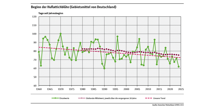 Das Liniendiagramm zeigt den Zeitpunkt des Blühbeginns beim Huflattich (Tage ab Jahresbeginn, Gebietsmittel für Deutschland) in den Jahren von 1960 bis 2021. Der lineare Trend belegt, dass sich dieser immer mehr verfrüht.