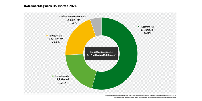 Das Diagramm zeigt den Holzeinschlag 2024 nach Holzsorten. Der Anteil des Stammholzes lag bei 54,3 %, der des Industrieholzes bei 20 % und der des Energieholzes bei 20,5 %. Etwa 5 % des Holzeinschlags waren Derbholz, das dauerhaft im Wald verbleibt. 