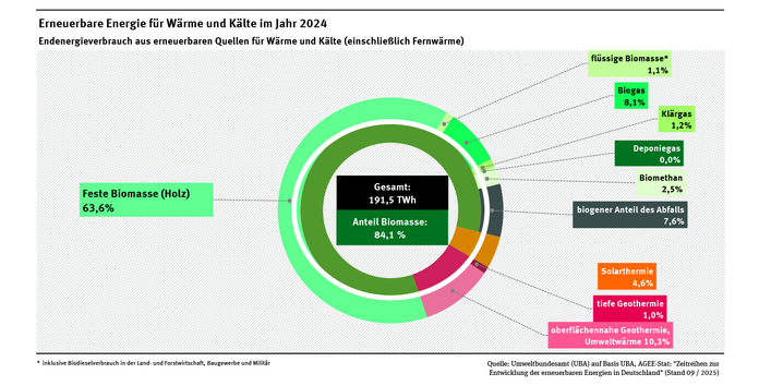 Ein Ringdiagramm stellt die Zusammensetzung des Endenergieverbrauchs erneuerbarer Energieträger für Wärme und Kälte im Jahr 2024 dar.