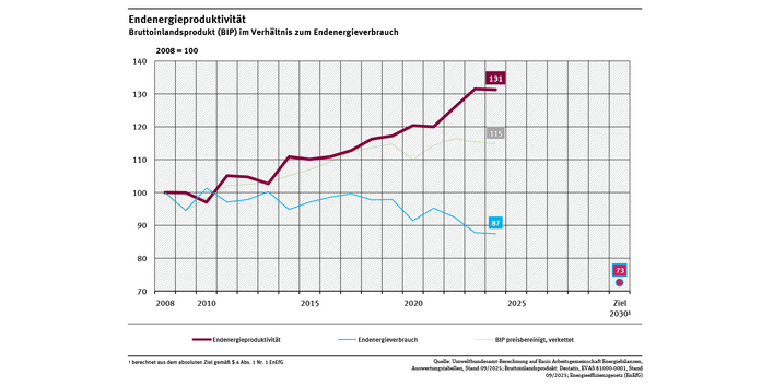 Ein Diagramm zeigt die Endenergieproduktivität von 2008 bis 2024. Sie ist seit 2008 um 31 % gestiegen. Es werden außerdem der Endenergieverbrauch und das Bruttoinlandsprodukt für diesen Zeitraum dargestellt. 