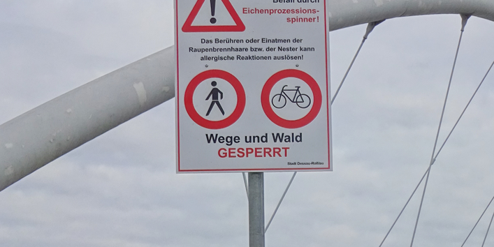 Warnschild macht auf einen Befall mit dem Eichenprozessionsspinner aufmerksam