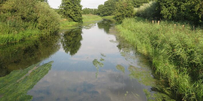 Ein Fluss mit grünem Ufer rechts und links bei dunstigem Wetter