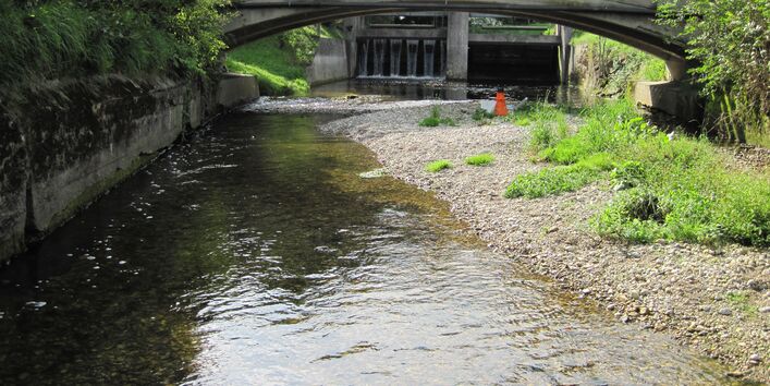 Flussansicht mit Brücke und im Hintergrund ist eine kleinere Stauanlage zu sehen