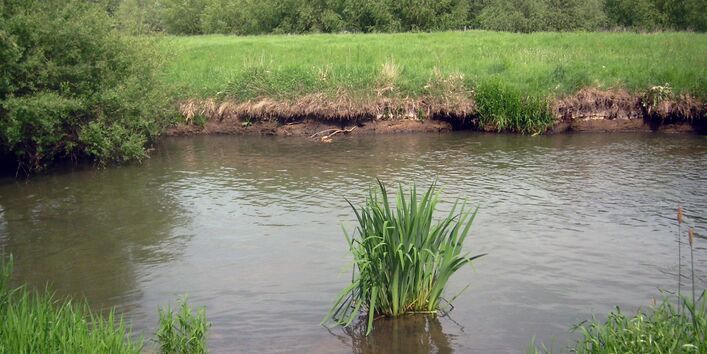 Ein brauner Fluss an dessen Ufer zu beiden Seiten eine Wiese ist