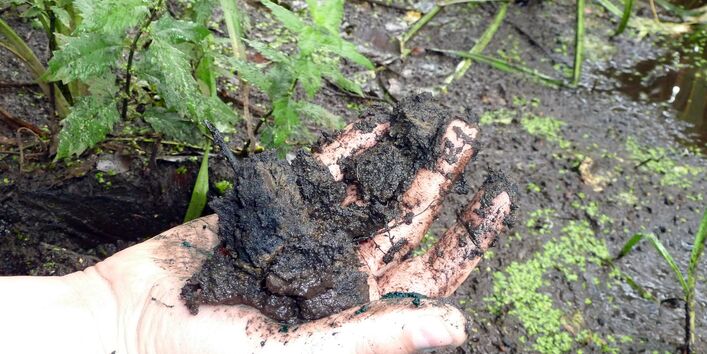 Eine Hand hält matschige Erde hoch.